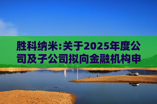 胜科纳米:关于2025年度公司及子公司拟向金融机构申请授信额度及公司为子公司提供担保额度预计的公告