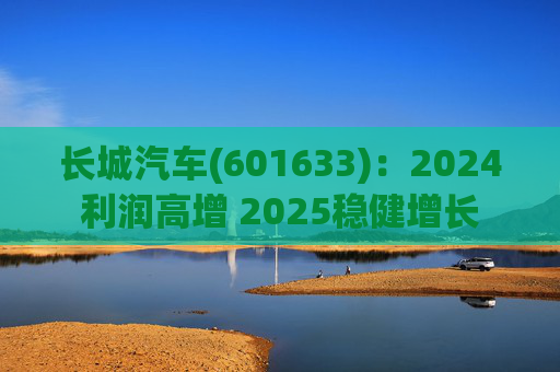 长城汽车(601633)：2024利润高增 2025稳健增长