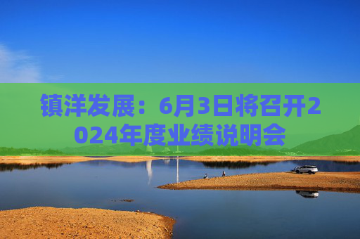 镇洋发展：6月3日将召开2024年度业绩说明会  第1张
