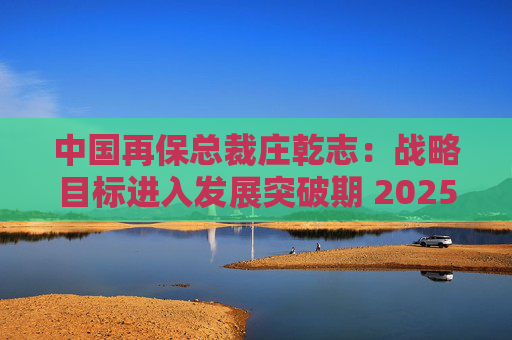 中国再保总裁庄乾志：战略目标进入发展突破期 2025年非常关键  第1张