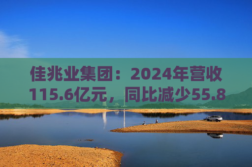 佳兆业集团：2024年营收115.6亿元，同比减少55.8%