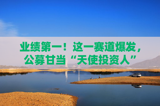 业绩第一！这一赛道爆发，公募甘当“天使投资人”  第1张