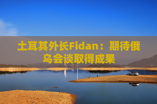 土耳其外长Fidan：期待俄乌会谈取得成果