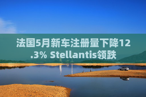 法国5月新车注册量下降12.3% Stellantis领跌