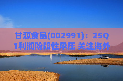 甘源食品(002991)：25Q1利润阶段性承压 关注海外市场突破