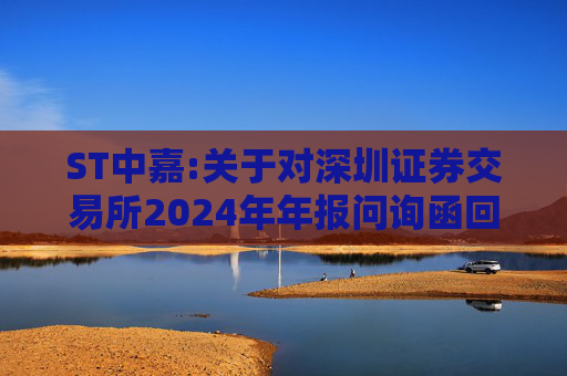 ST中嘉:关于对深圳证券交易所2024年年报问询函回复的公告