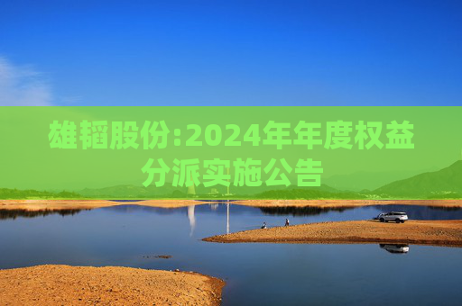雄韬股份:2024年年度权益分派实施公告