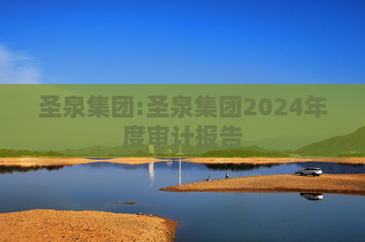 圣泉集团:圣泉集团2024年度审计报告
