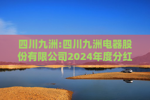 四川九洲:四川九洲电器股份有限公司2024年度分红派息实施公告  第1张