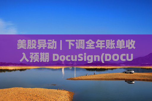 美股异动 | 下调全年账单收入预期 DocuSign(DOCU.US)大跌超18%