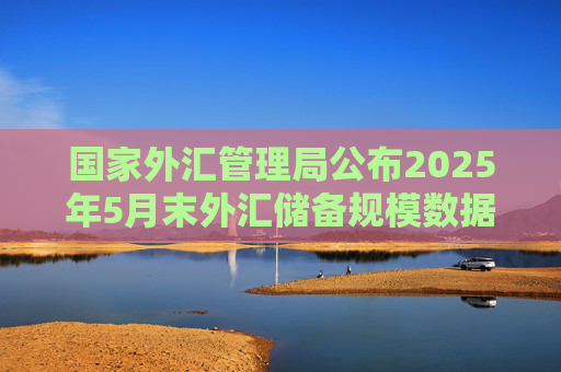 国家外汇管理局公布2025年5月末外汇储备规模数据  第1张