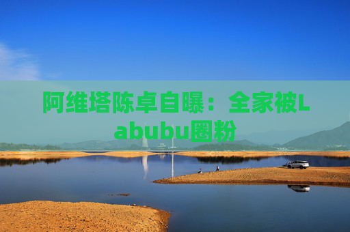 阿维塔陈卓自曝：全家被Labubu圈粉  第1张