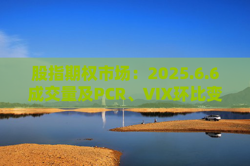 股指期权市场：2025.6.6成交量及PCR、VIX环比变动情况  第1张