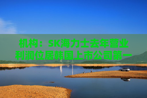 机构：SK海力士去年营业利润位居韩国上市公司第一，首次超过三星电子