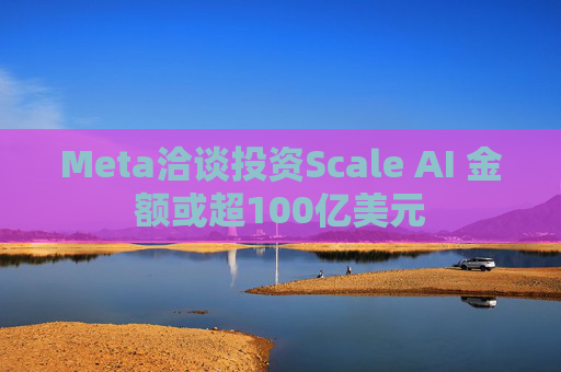 Meta洽谈投资Scale AI 金额或超100亿美元  第1张