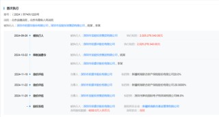 前海联合财险变局时刻：钜盛华所持20%股权将七折拍卖，总经理李功霓履职一年后辞任