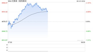 世界黄金协会美洲区CEO解读2026年金价新逻辑：地缘风险成首要因素，全球央行连续16年净买入