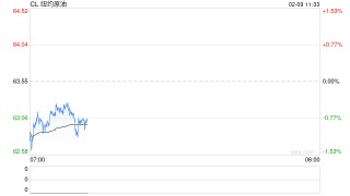 长安期货范磊：中东政治动荡但波动维持 节前注意仓位控制可布局期权