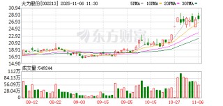大为股份：旗下锂矿已完成勘探评审备案 正在办理探矿权转采矿权手续