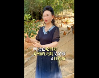 重庆女博士在广东养鸡养猪，天农集去年净赚8.9亿元！儿子、侄子、学生也是公司高管，将赴香港IPO