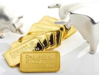 如何为牛进行投保并完成流程？完成流程的牛投保有哪些注意事项？