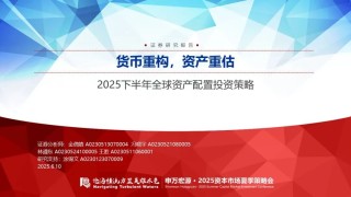 【申万宏源策略】溢价收敛，龙头为先——2025年中期美股策略观点