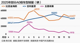 比亚迪闯关：守擂之年，下一个增长点是什么?