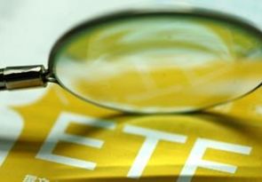 期权一级投资者的相关问题有哪些?这些问题对投资有什么影响? 第1张 期权一级投资者的相关问题有哪些?这些问题对投资有什么影响? 第1张