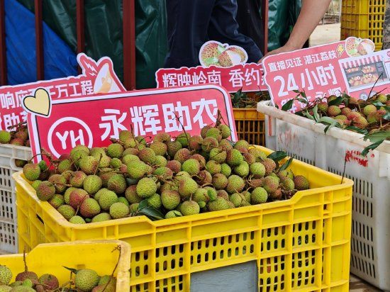永辉超市启动2025永辉荔枝季助农活动：最快24小时从果园直达门店，从广东门店到全国门店将陆续上架  第1张