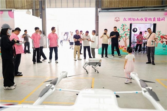 14年深耕!顺丰科技赋能,全链路升级助力阳山水蜜桃“甜蜜出圈” 第4张 14年深耕!顺丰科技赋能,全链路升级助力阳山水蜜桃“甜蜜出圈” 第4张