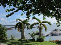 如何了解新加坡交易所橡胶期权?该期权有什么特点? 第1张 如何了解新加坡交易所橡胶期权?该期权有什么特点? 第1张