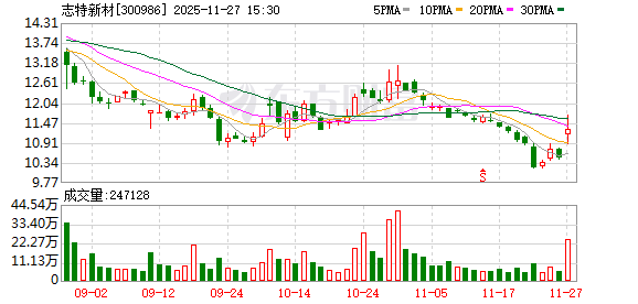 志特新材：无逾期担保的情形  第1张