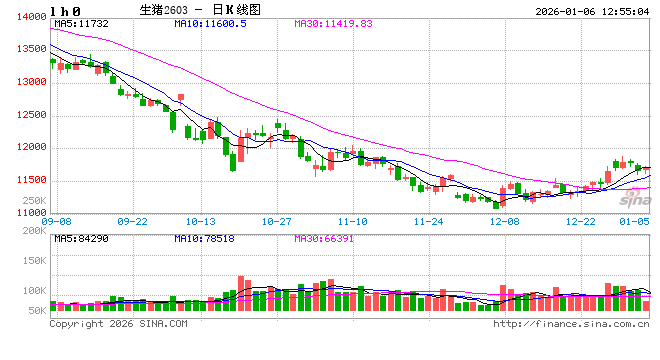 供需双增支撑12月生猪屠宰量增幅明显  第2张