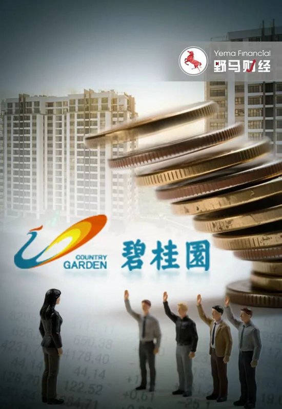 杨惠妍被罚、董事会力挺!碧桂园千亿债务危机解除了吗? 第1张 杨惠妍被罚、董事会力挺!碧桂园千亿债务危机解除了吗? 第1张