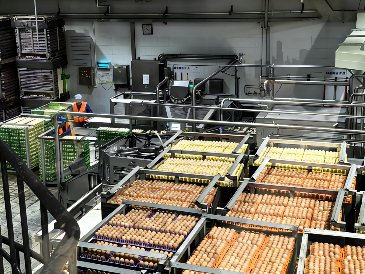 金融暖意 装满你的新春购物车 第5张 金融暖意 装满你的新春购物车 第5张