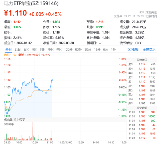 电力股逆市冲高！立新能源、浙江新能涨停！华宝基金电力ETF（159146）冲击四连阳！  第1张